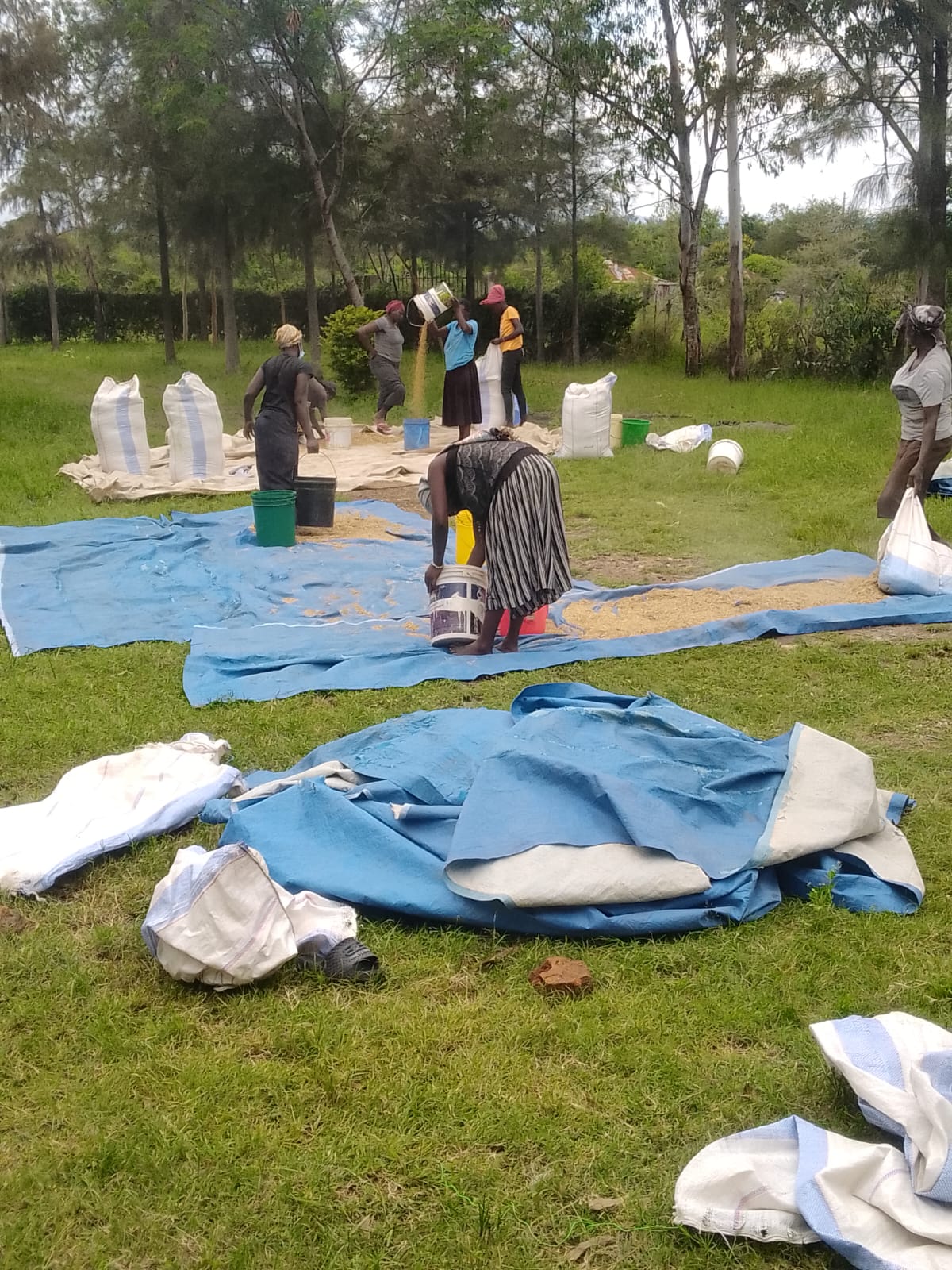 Regenerative Agriculture Field Work