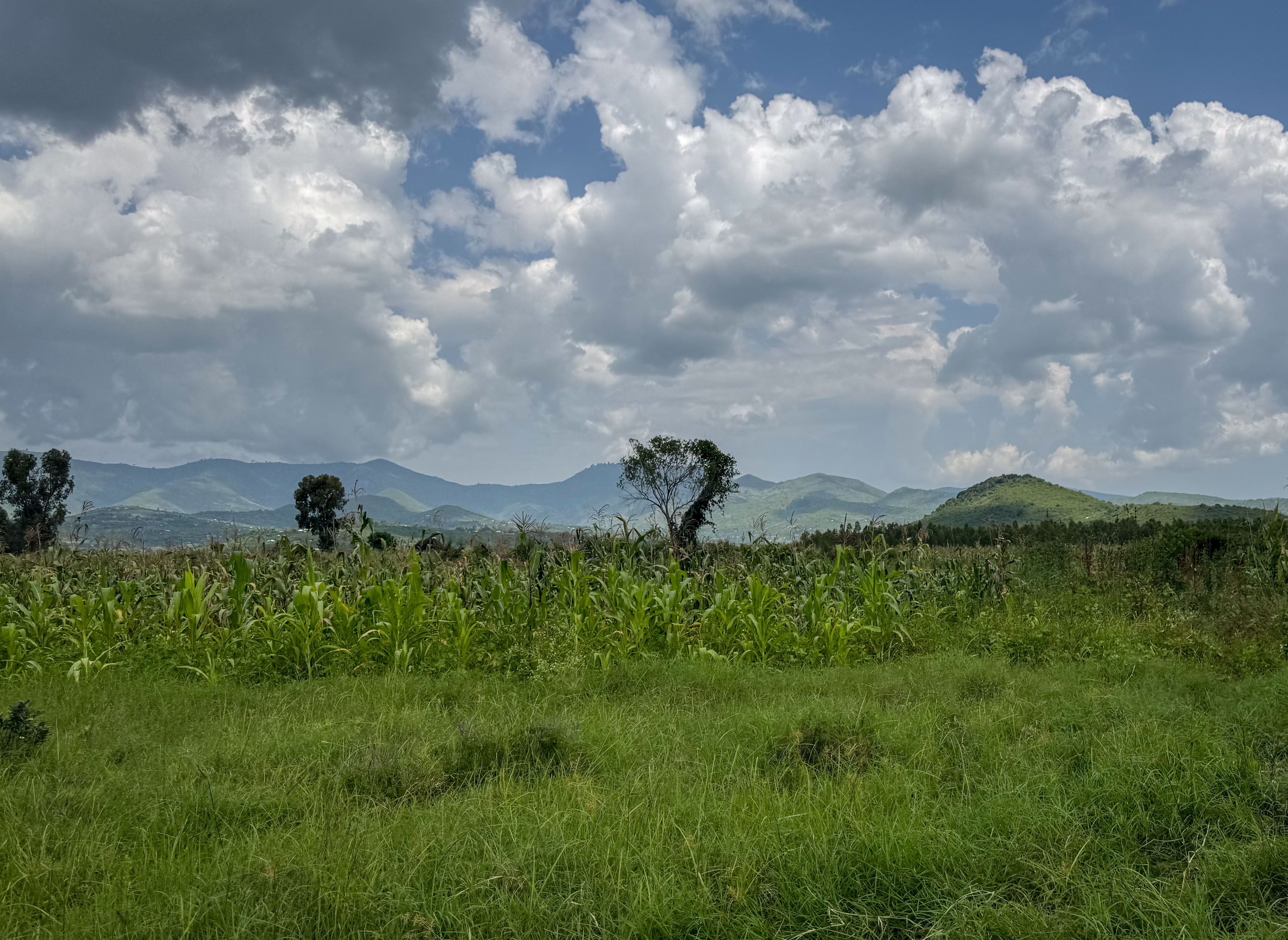 Field Monitoring